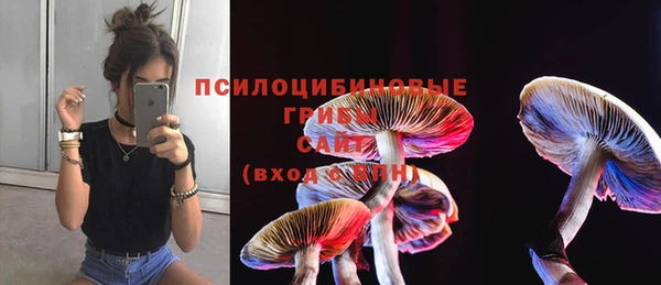 а пвп мука Дмитриев